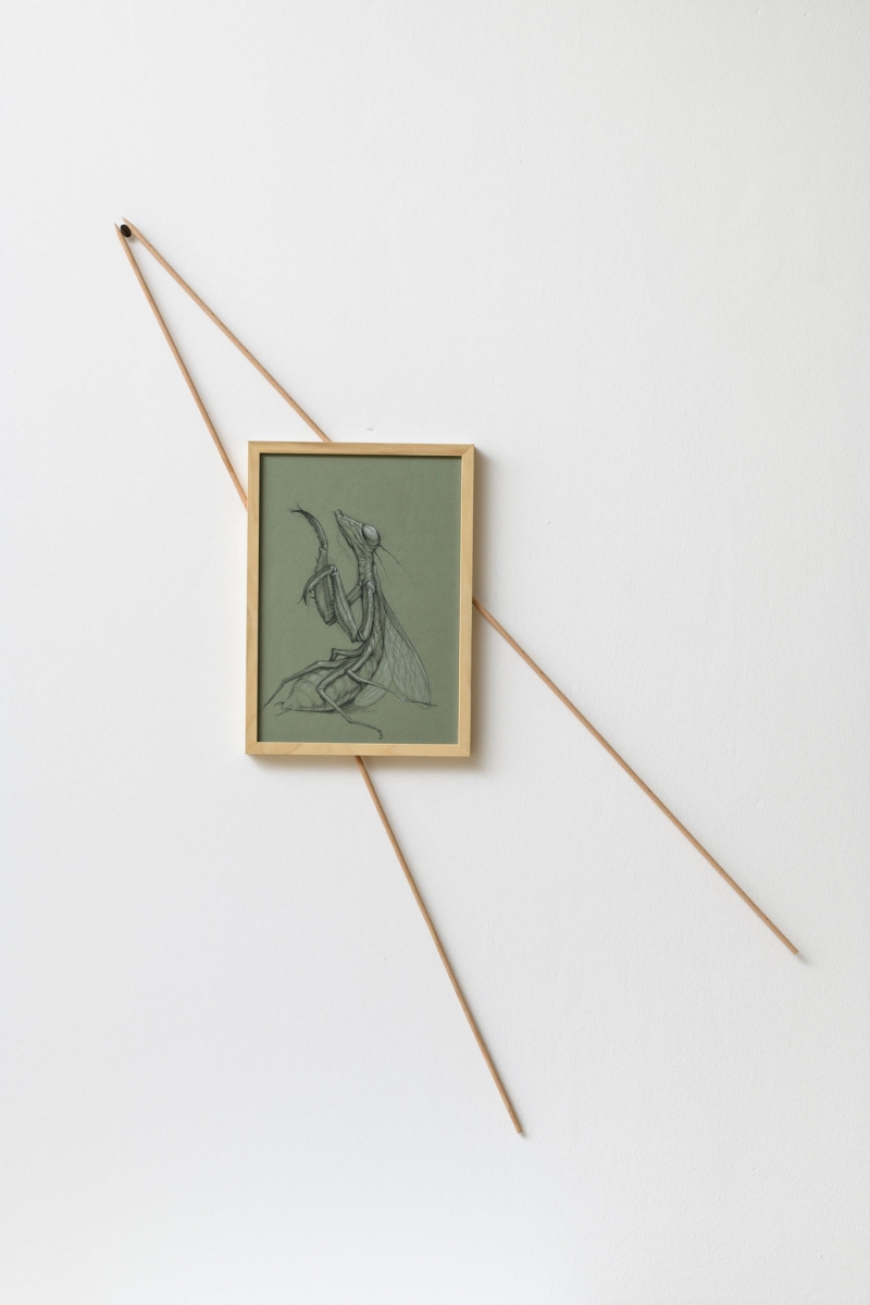 La mosca, 2023. Pastel on paper, wood and coffee bean, cm 90 x 68