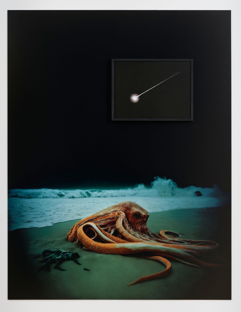 Pietra celeste, 2023. Lithograph and forex printing of image generated with A.I., cm 150 x 110