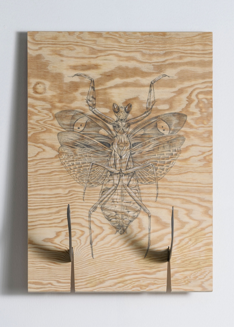 Saturno II, 2023.  Pencil and pastel on table and sickles, cm 70 x 50 x 32