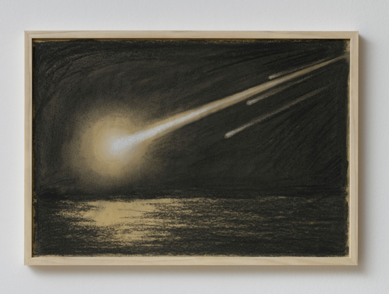Panspermia yellow, 2020. Charcoal on paper, cm 35,5 x 51