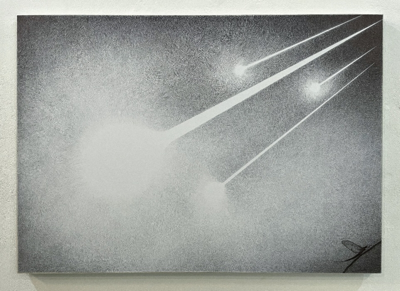 Panspermia (Effimera), 2022. Ballpoint pen on paper, applied to canvas, cm 70 x 100 
