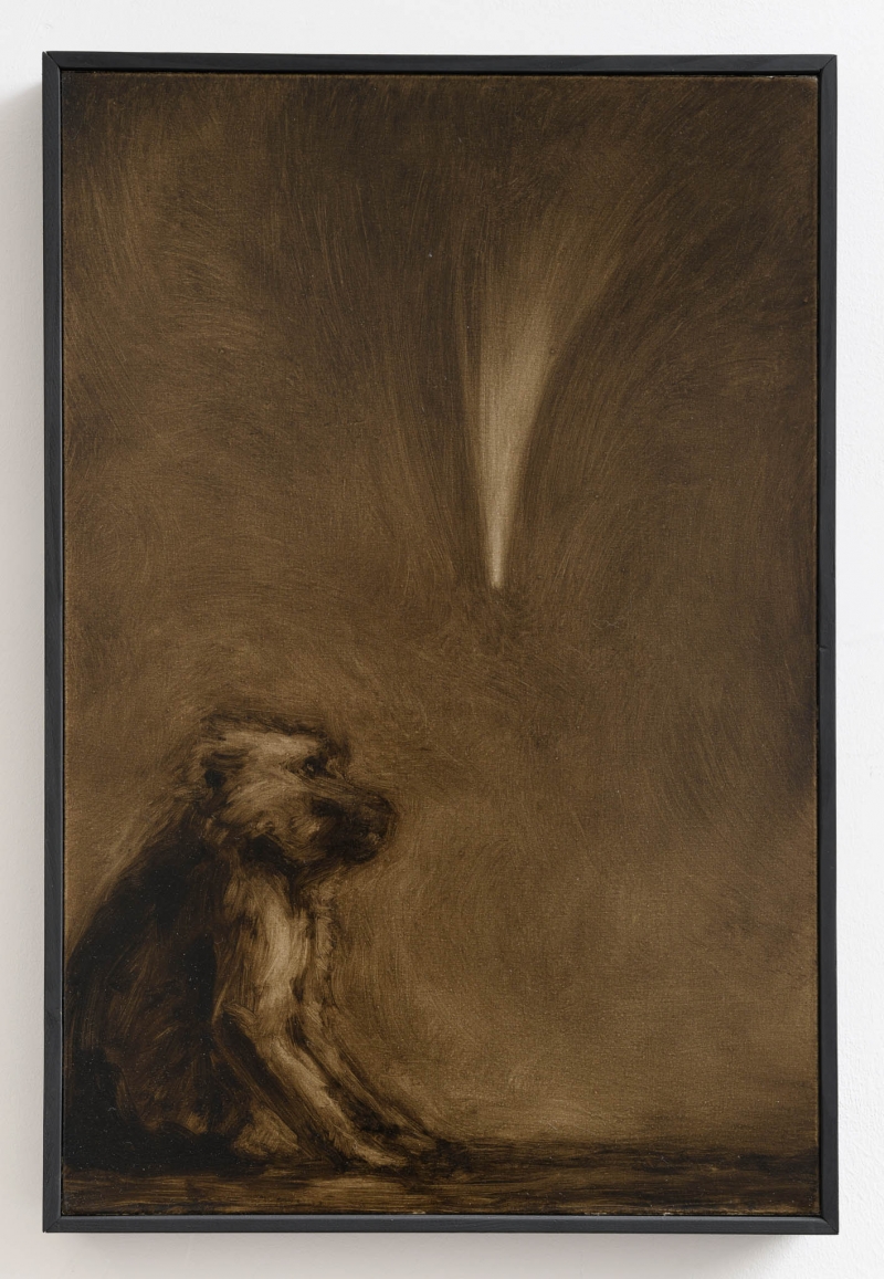 Prevoluzione (cometa), 2025. Oil on canvas, cm 62 × 41,5 × 5 